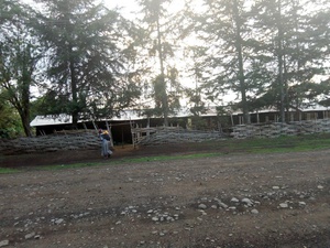 cache/19/92/19923618c049a3913ae4d212e9bb5884.jpg