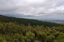cache/64/06/64063d5808cdccadd759cb182e042049.jpg{{ im.nameAfaanOromoo }