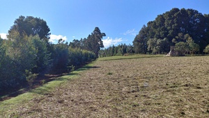 cache/65/2f/652fbdefefd93995fc0d33a9d01dcefd.jpg