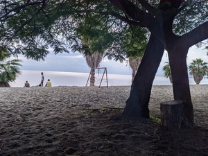 cache/7c/e9/7ce9ab263c464f00ebbeae9a42214f34.jpg