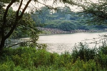 cache/87/8b/878b2b0f5def2091757dac437496d710.jpg{{ im.nameAfaanOromoo }