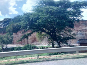 cache/c3/19/c31979adb19b092800d7be8d0132d3e8.jpg